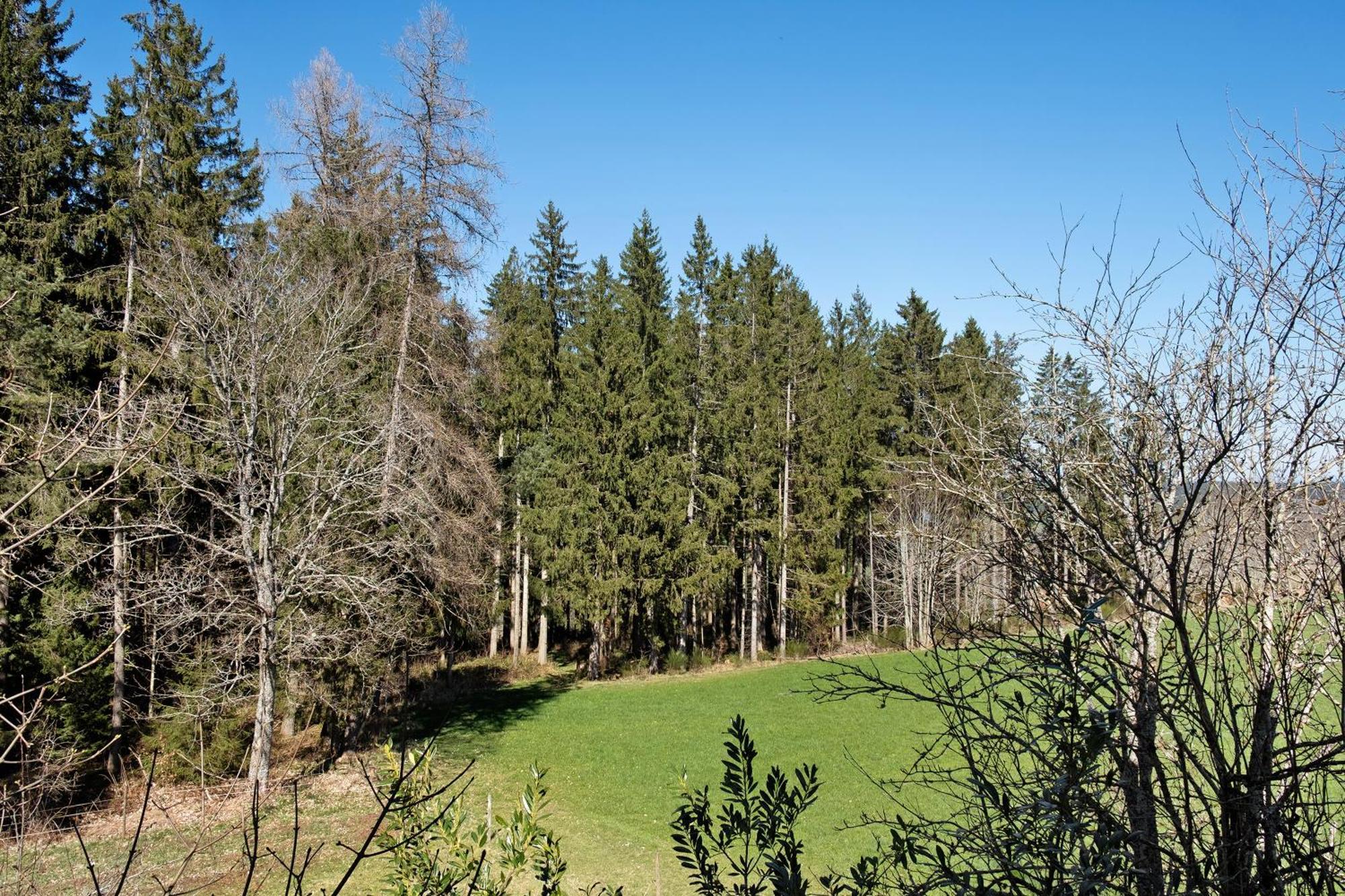 Ferienwohnung Schartenschmiede St. Georgen Exterior foto